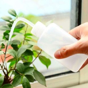 Sukkulent Kaktüs Bonsai Sulama Şişesi 715726