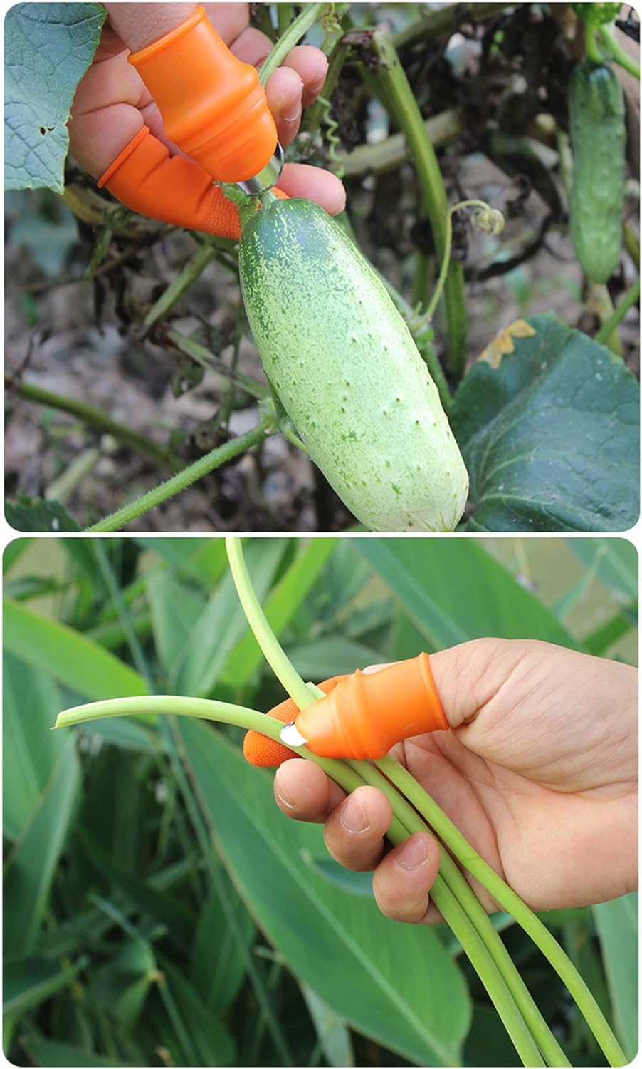 Hızlı Parmak Bıçağı Başparmak Sebze Kesici 2 li set 719487