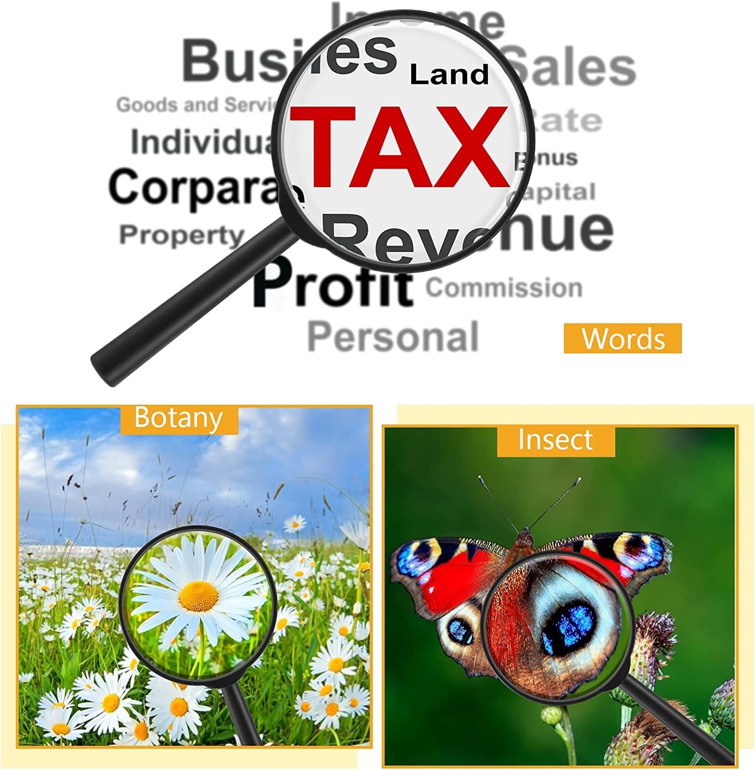 10X Büyüteç 6 ve 9 cm 2 li SET 719687