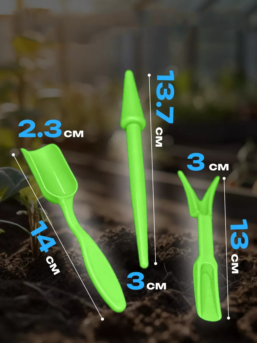 Kaktüs Sukkulent Dikim Seti 720516