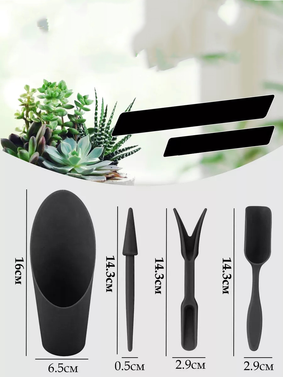 Kaktüs Sukkulent Dikim Seti 720516