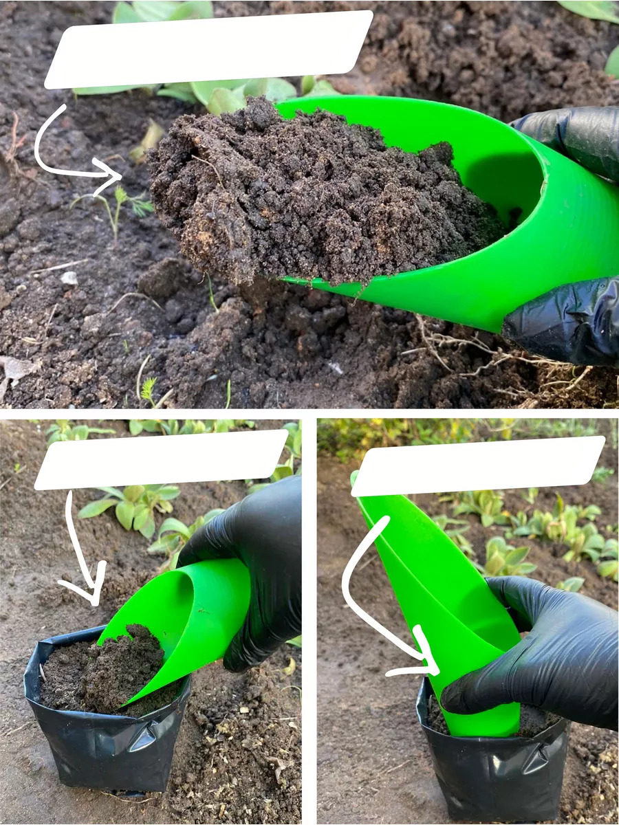 Kaktüs Sukkulent Dikim Seti 720516