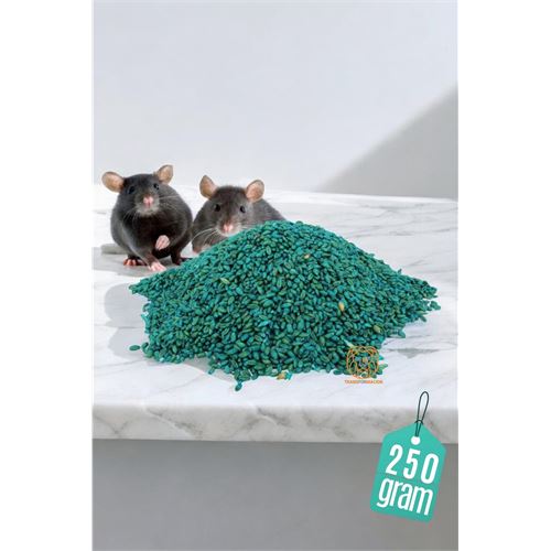 TransForMacion Fare Yemi 250 Gr 720693