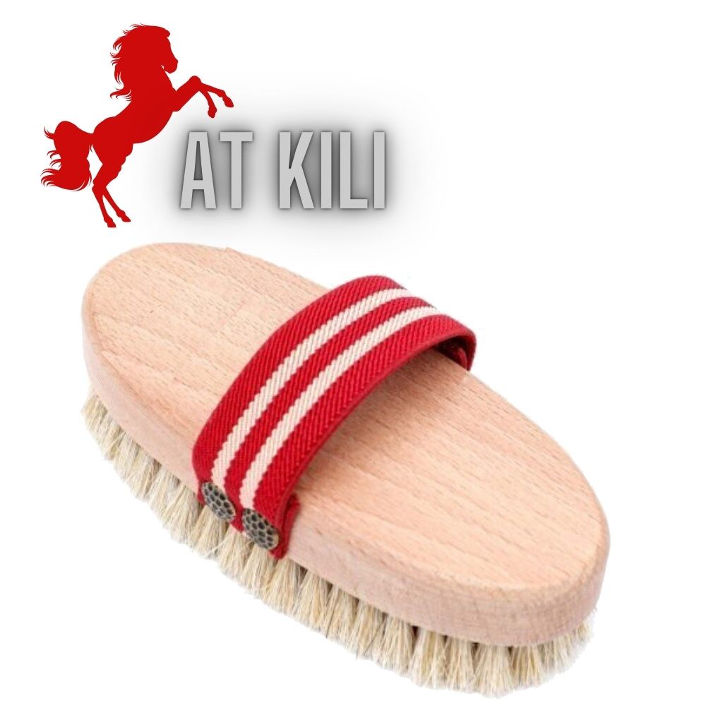 Absolute At Kılı Kuru Islak Selülit Peeling Fırçası 