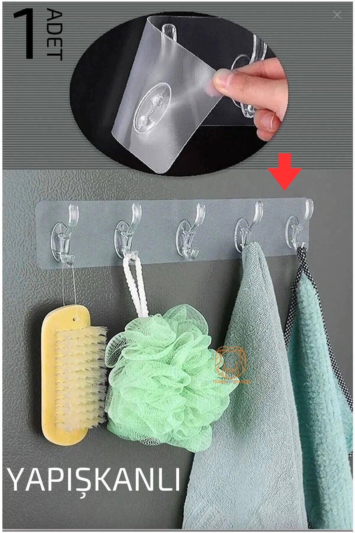 5 Pinli Yapışkanlı Askı Xenoty Design 