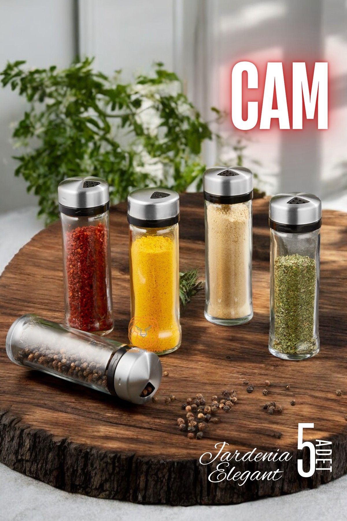 TransForMacion Cam Tuzluk Baharatlık 5 ADET Jardenia Elegant 720873