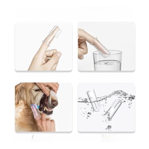 TransForMacion Kedik Köpek Diş Fırçası Silikon Kutulu 3 lü SET 720970