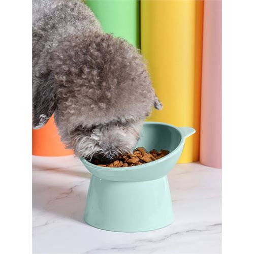 TransForMacion Mama Kabı Kedi ve Küçük Köpek Mama Kabı Kedi Kumu Küreği Set MAVİ 720980