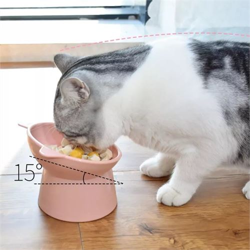 TransForMacion Mama Kabı Kedi ve Küçük Köpek Mama Kabı Kedi Kumu Küreği Set PUDRA 720981