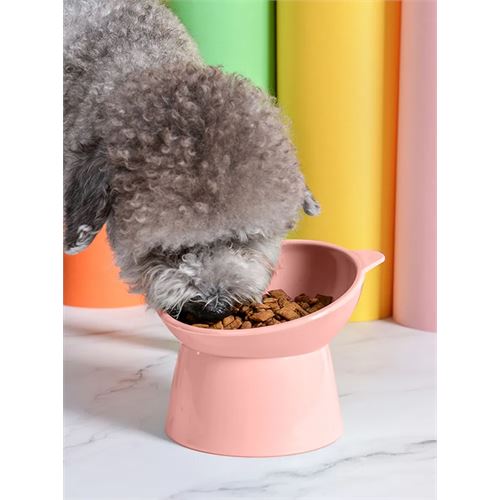 TransForMacion Mama Kabı Kedi ve Küçük Köpek Mama Kabı Kedi Kumu Küreği Set PUDRA 720981
