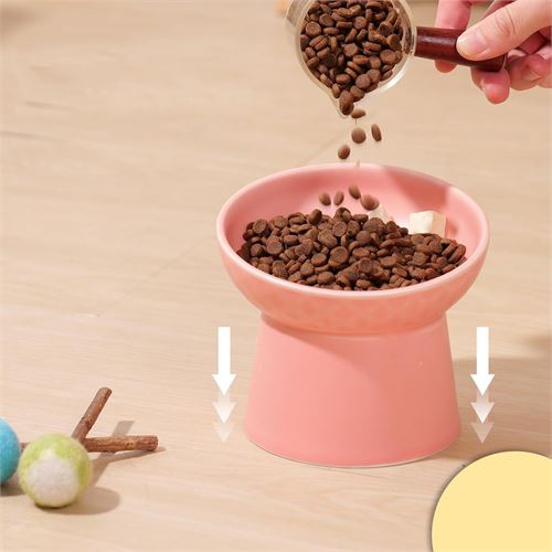 TransForMacion Mama Kabı Kedi ve Küçük Köpek Mama Kabı Kedi Kumu Küreği Set PUDRA 720981