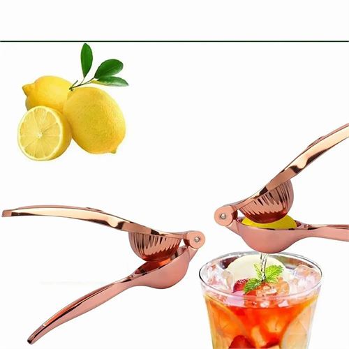 TransForMacion ROSE Limon Sıkacağı Paslanmaz Çelik 721006