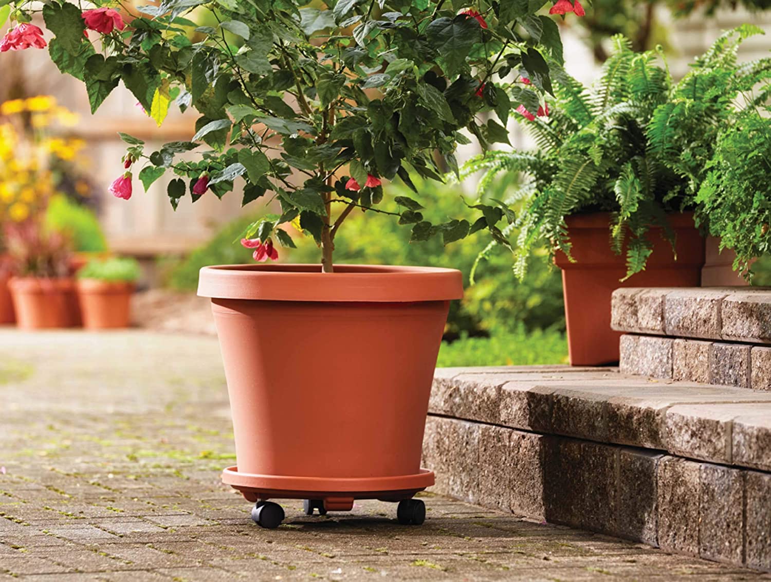 Tekerlekli Saksı Altığı 4 ADET 37 CM KAHVE 721056