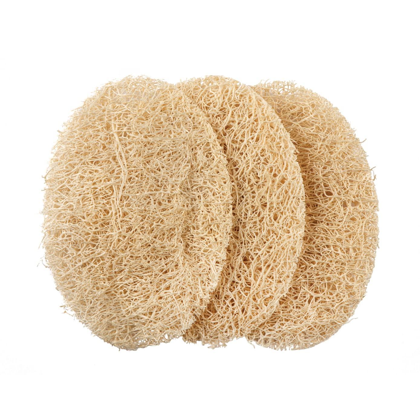 Yüz Peeling Kabak Lifi 3 adet Solingen Professional 719709