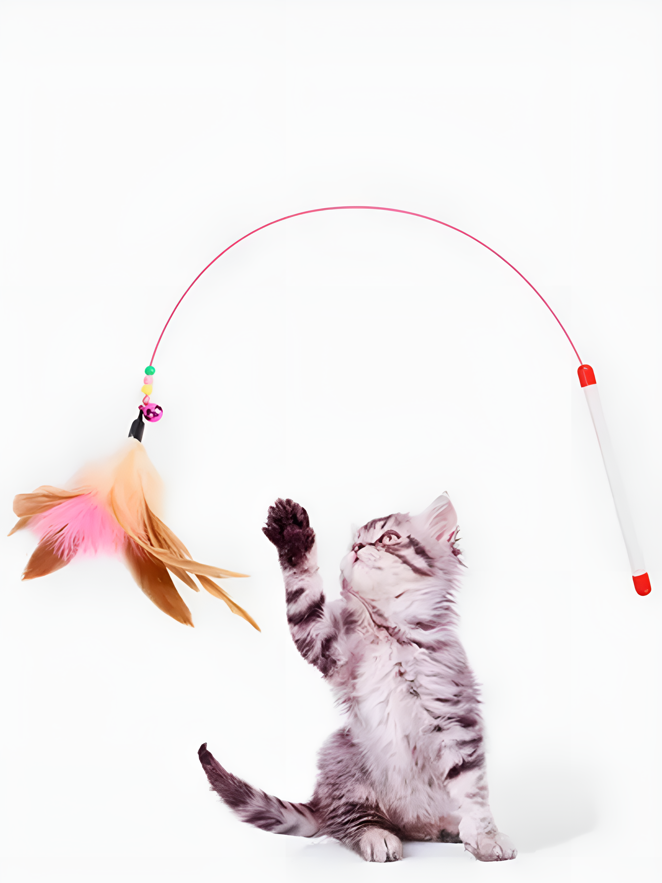 Transformacion Kedi Oyun Oltası 90 Cm 721104