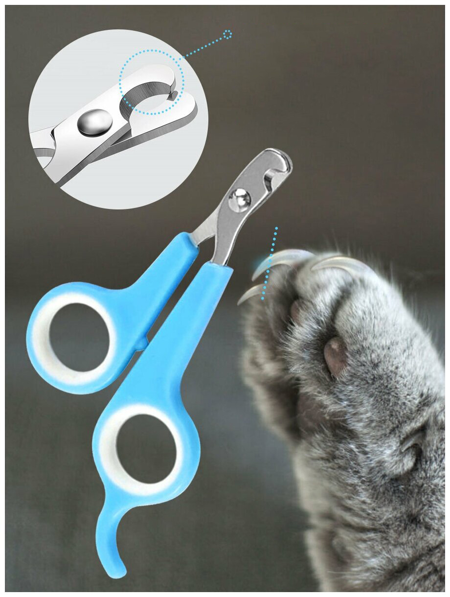 Kedi Tırnak Makası Evcil Hayvan Köpek Tavşan Tırnak Makası 721113