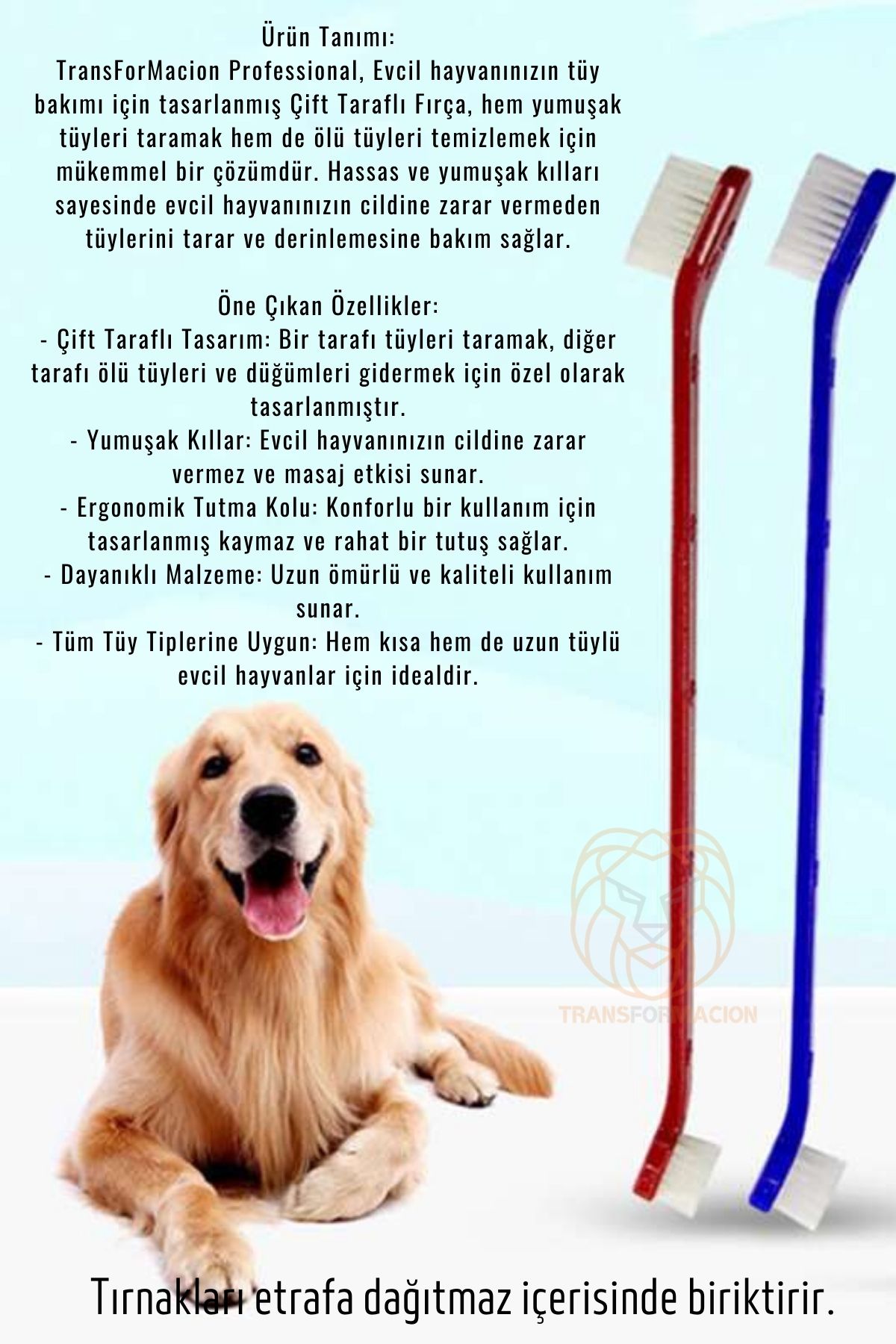Köpek Ve Kedi Diş Fırçası Küçük Büyük Uçlar 2 ADET 721114