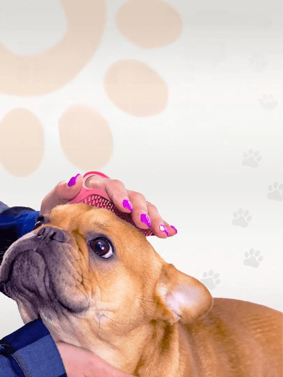 Hayvan Tüy Toplama Yıkama Kaşınma Silikon Fırçası 721131