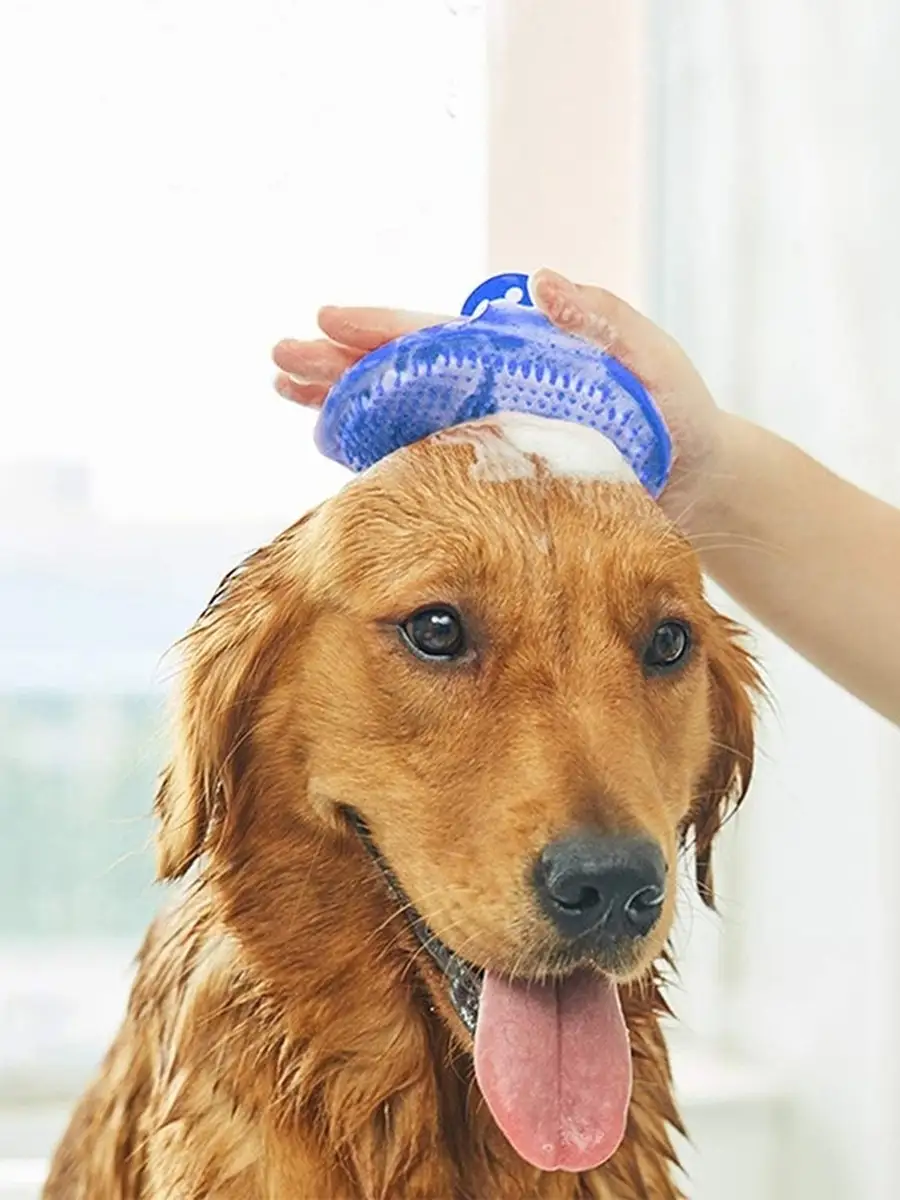 Hayvan Tüy Toplama Yıkama Kaşınma Silikon Fırçası 721131