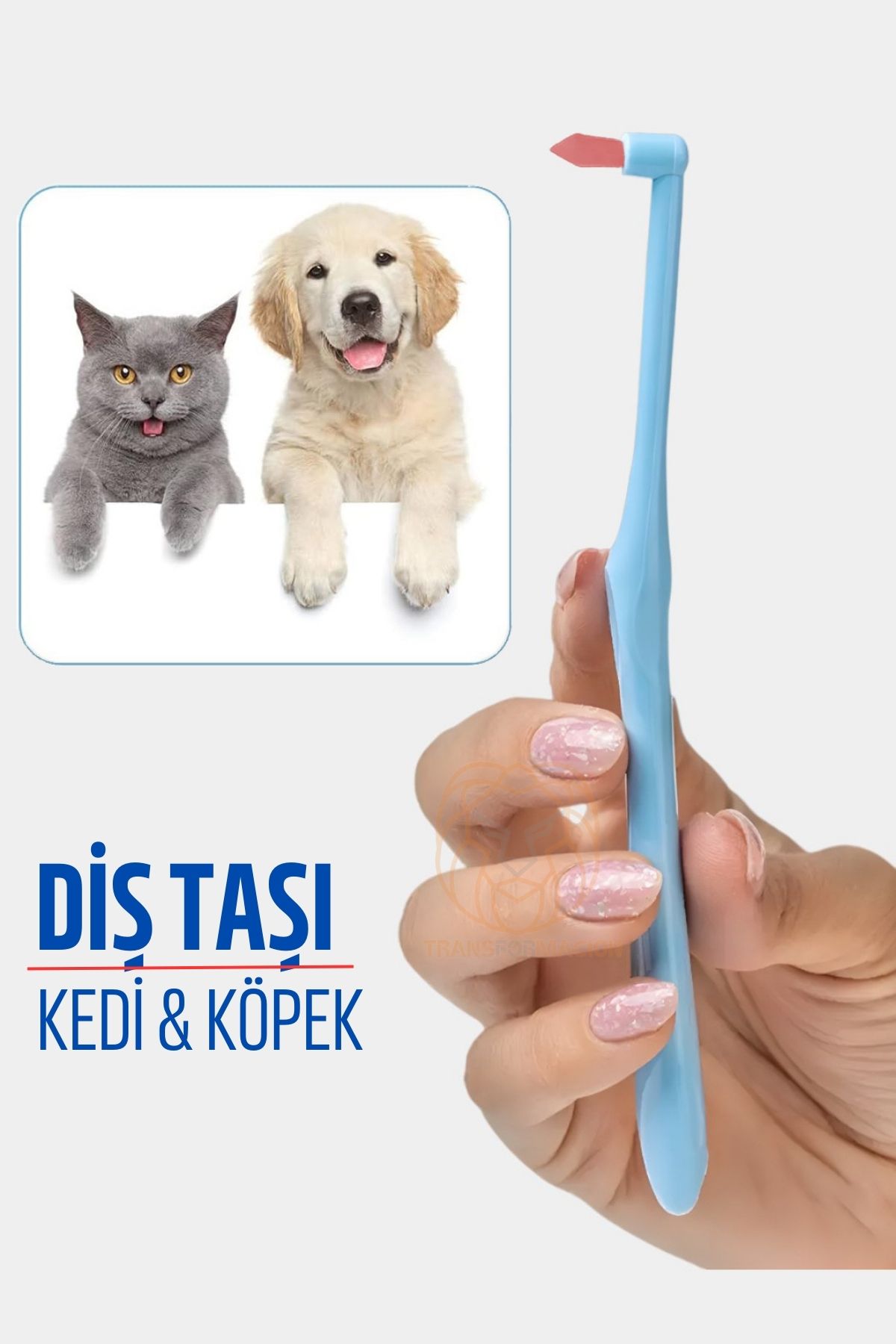 ModaCar Köpek Ve Kedi Diş Taşı Temizleyici 