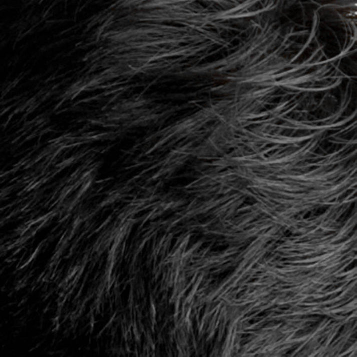 Saç Dolgunlaştırıcı Fiber Topik Toz SİYAH 50 Gram 721496