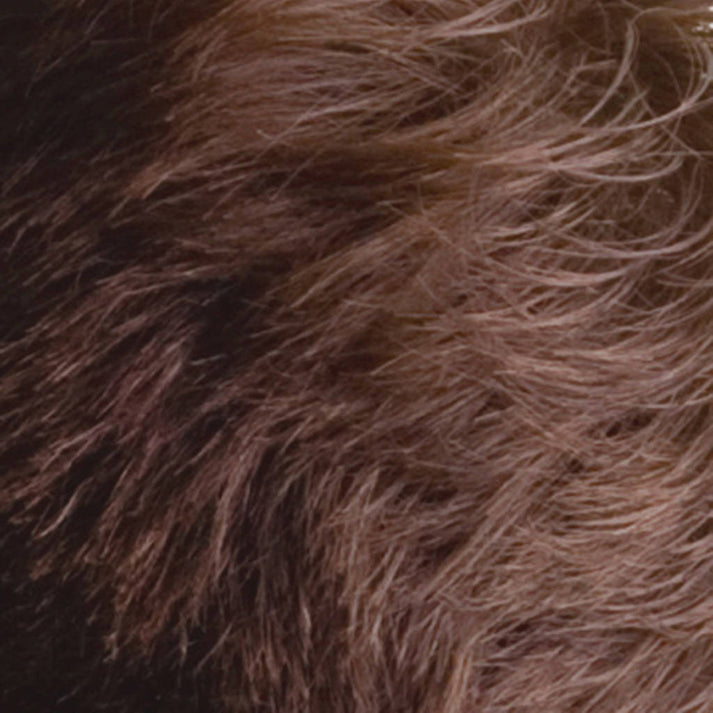 Saç Dolgunlaştırıcı Fiber Topik Toz ORTA TON KAHVERENGİ 721497