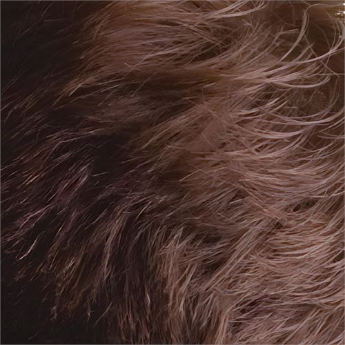 TransForMacion Aplikatörlü Saç Dolgunlaştırıcı Fiber Topik Toz ORTA TON KAHVERENGİ 721500
