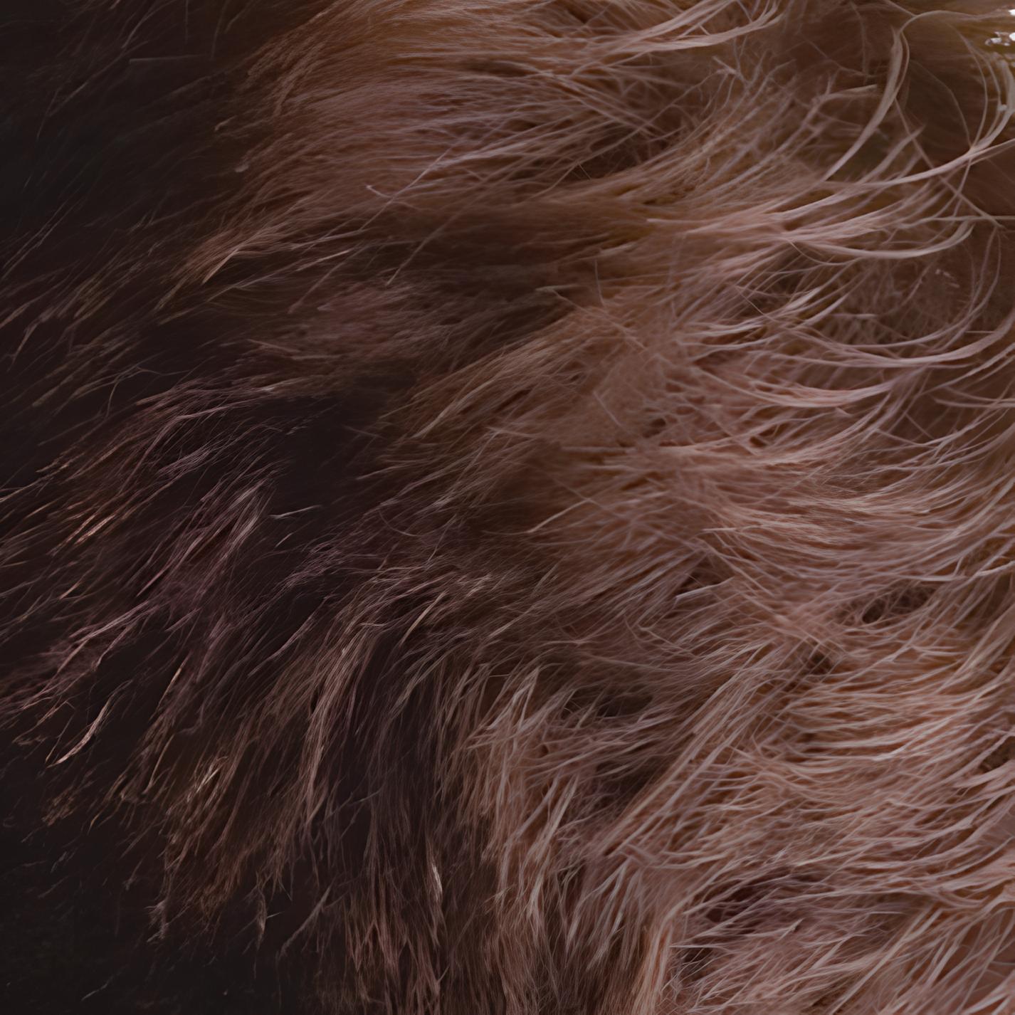 Aplikatörlü Saç Dolgunlaştırıcı Fiber Topik Toz ORTA TON KAHVERENGİ 721500