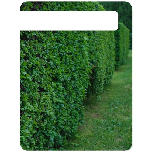 Transformacion Profesyonel Budama Makası Bahçe Makası 52 CM 721686
