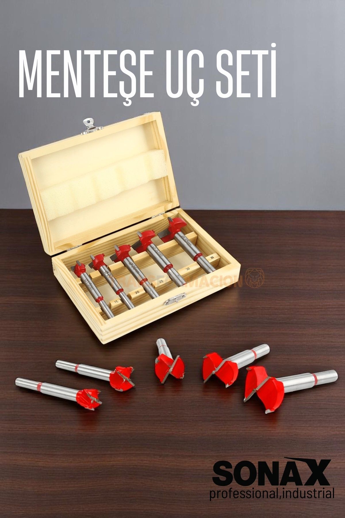 Menteşe Uç Seti Ahşap Freze Bıçağı Yuvarlak Panc 5 Adet Çantalı Takım 721696