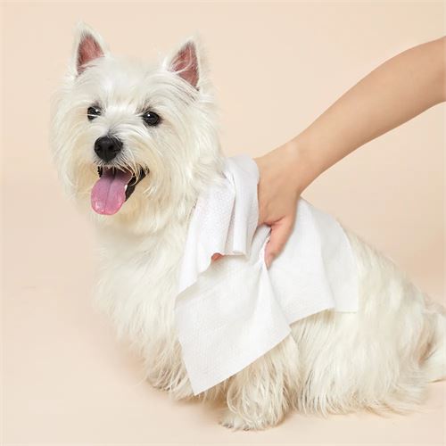 TransForMacion Pet Havlusu - Kedi Köpek Banyo Havlusu Tek Kullanımlık Kuru Havlu 40X80 CM 100 Adet 721808