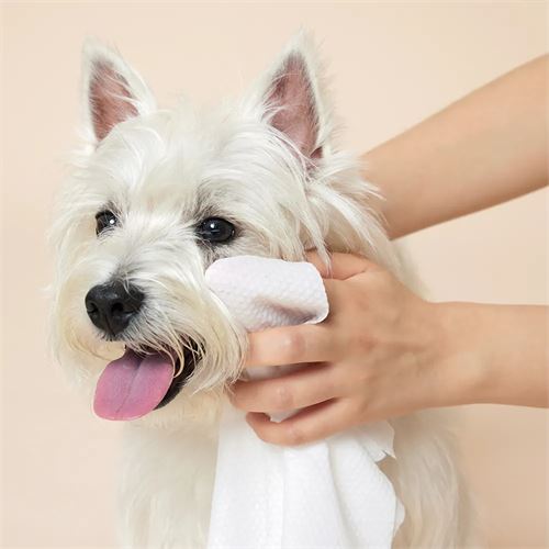 TransForMacion Pet Havlusu - Kedi Köpek Banyo Havlusu Tek Kullanımlık Kuru Havlu 40X80 CM 100 Adet 721808
