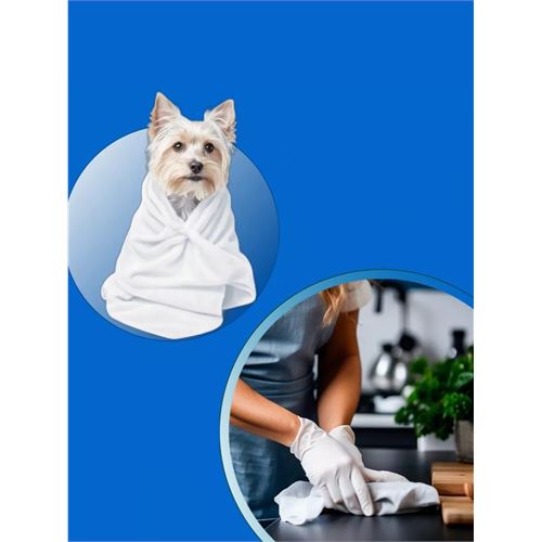TransForMacion Pet Havlusu - Kedi Köpek Banyo Havlusu Tek Kullanımlık Kuru Havlu 40X80 CM 100 Adet 721808
