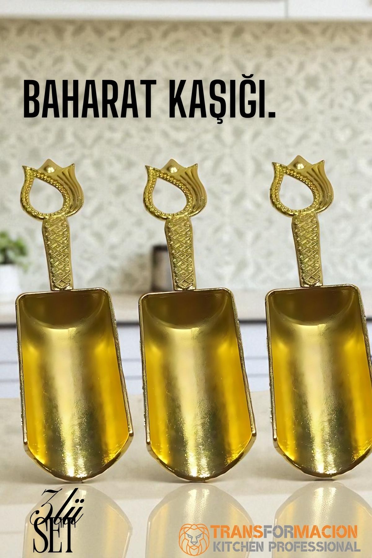 Baharat Kaşığı 3 lü SET 721956