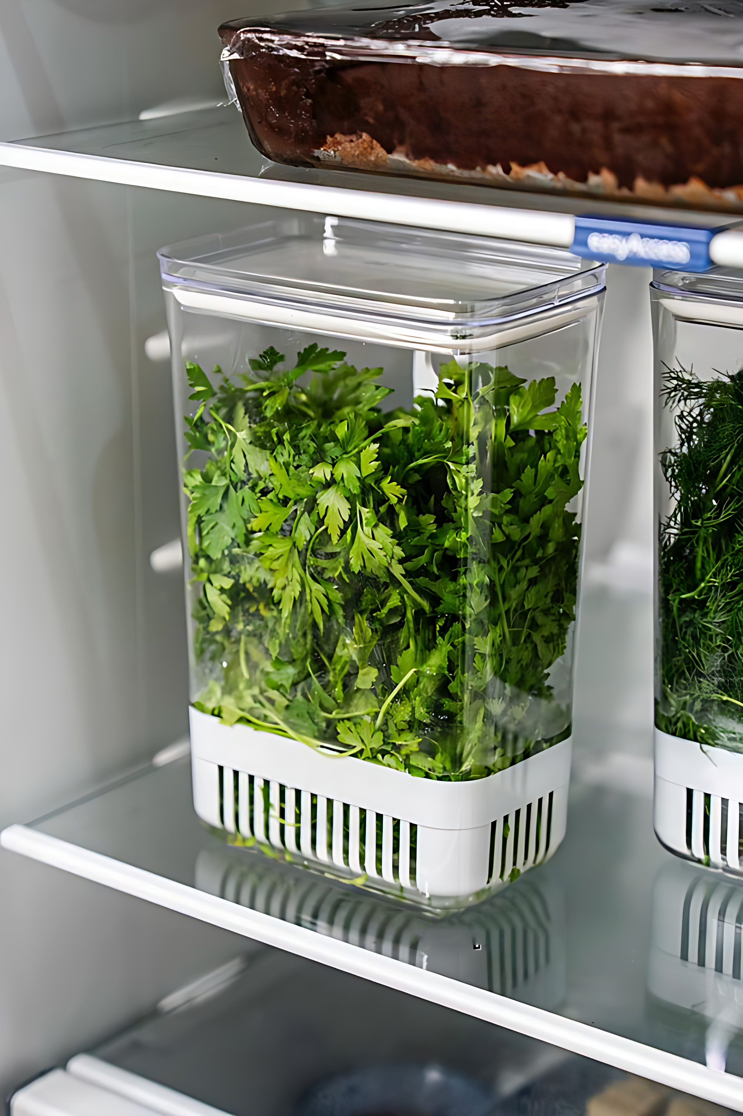 Yeşillik Saklama Kabı - Taze Yeşillik İçin - Soğan Maydanoz vb Yeşillik Saklama 2 Lİ set 721957