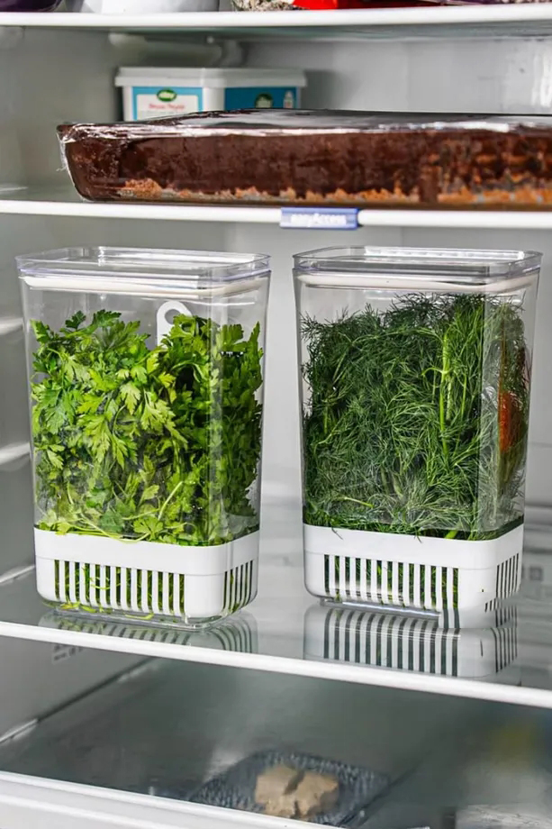 Yeşillik Saklama Kabı - Taze Yeşillik İçin - Soğan Maydanoz vb Yeşillik Saklama  721958