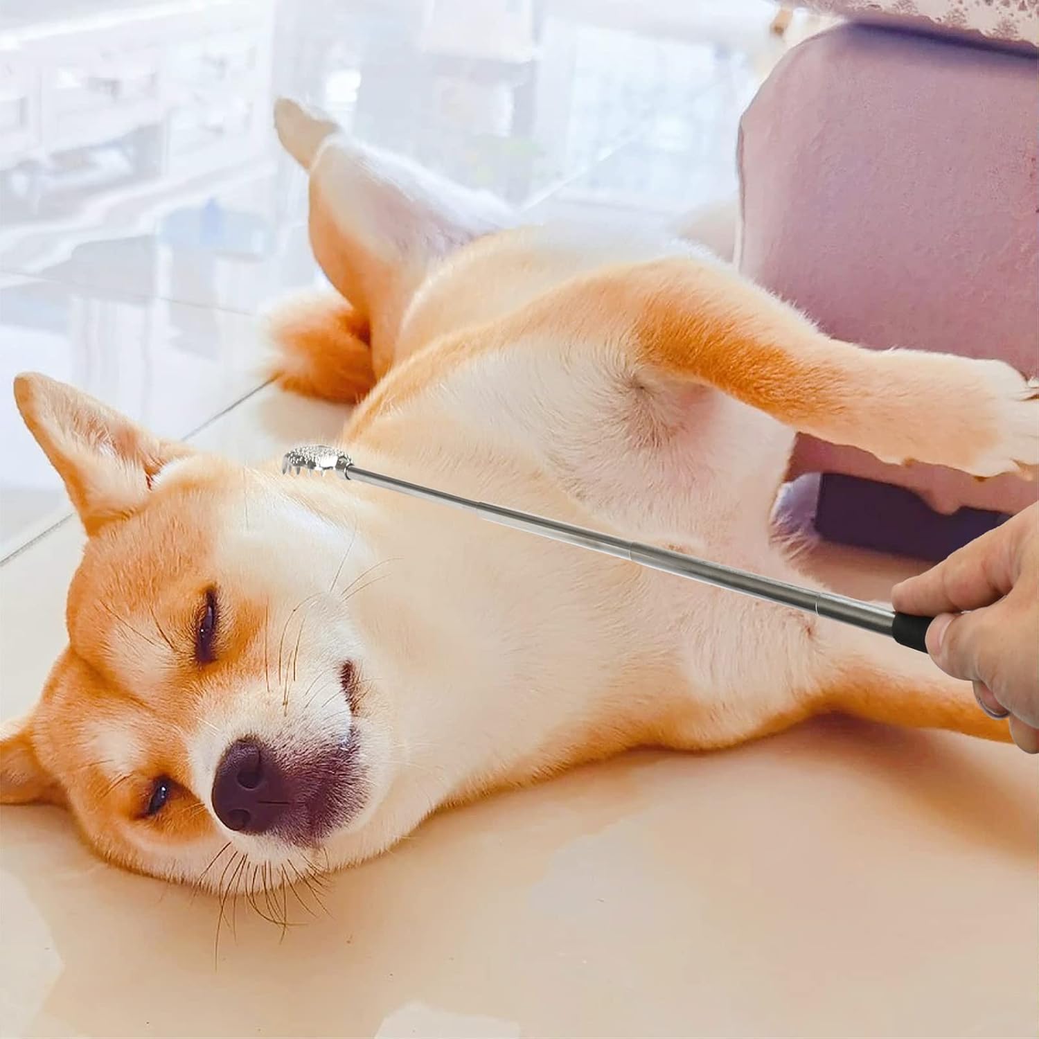 Sırt Kaşıyıcı - Telekopik 56 cm Sırt Kaşıma Aparatı Hanımeli 2 li SET 721960