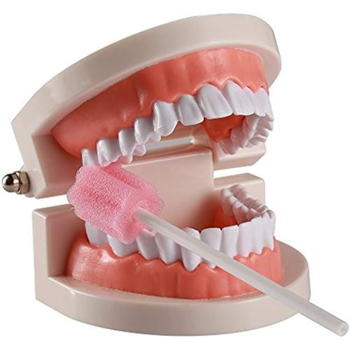 TransForMacion Süngerli Swab - Ağız ve Diş Bakım Çubuğu - 2 Adet  722090