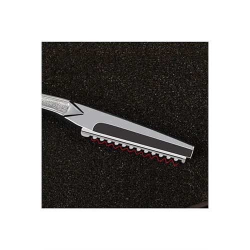 TransForMacion Feather Tip Jiletli Ustura Profesyonel Saç Sakal Inceltme Usturası 718218