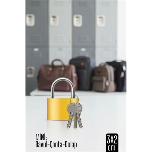 TransForMacion Mini 20mm Bavul ve Çanta Asma Kilidi – 3 Anahtarlı, Dolap ve Seyahat İçin Güvenli 718880