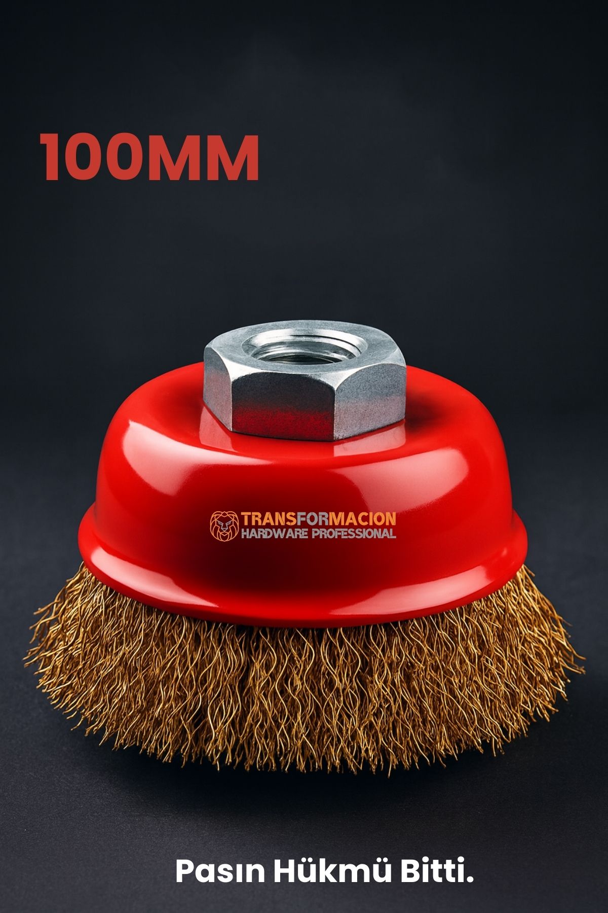 M14 Uyumlu Çanak Tel Fırça 100 mm Profesyonel Pas Sökücü Yüzey Temizleme Diski 722623