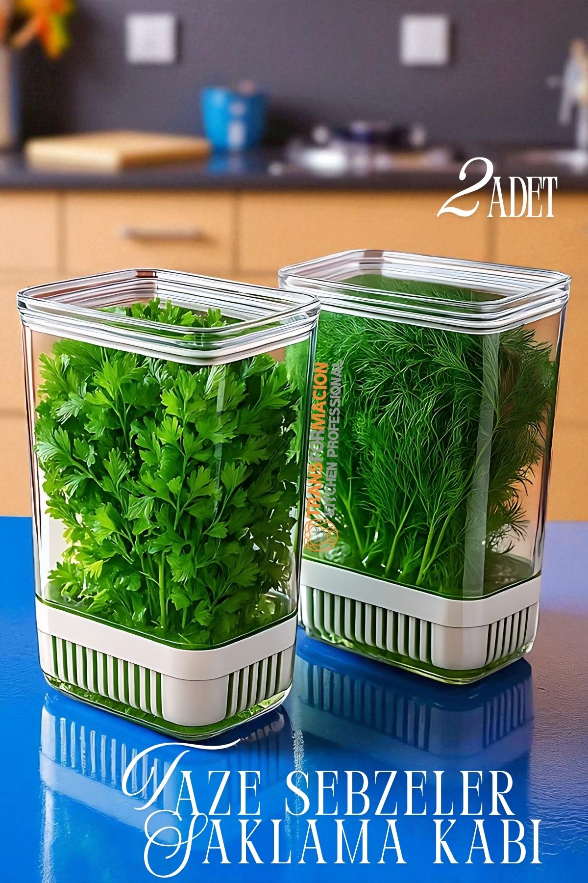 Yeşillik Saklama Kabı - Taze Yeşillik İçin - Soğan Maydanoz vb Yeşillik Saklama 2 Lİ set 721957