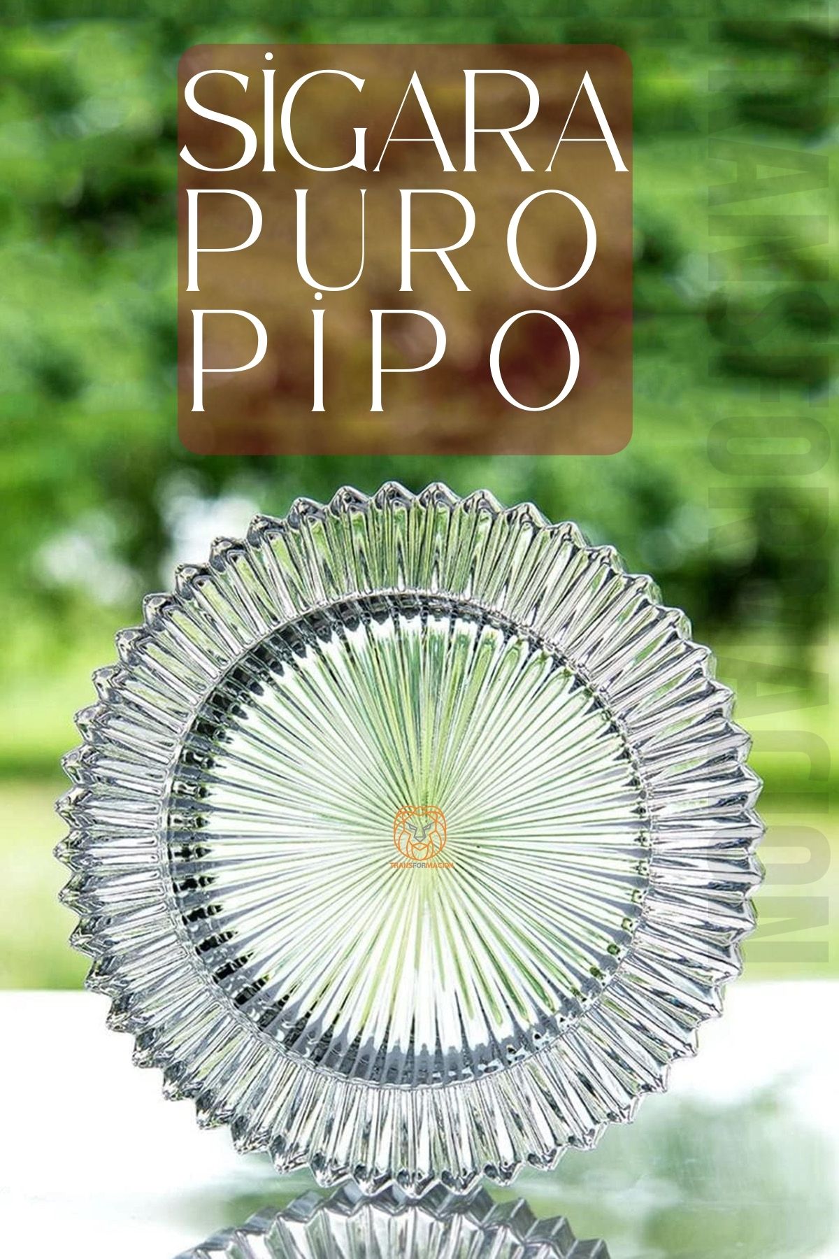 Groot Cam Küllük Pipo Puro Küllüğü 721225