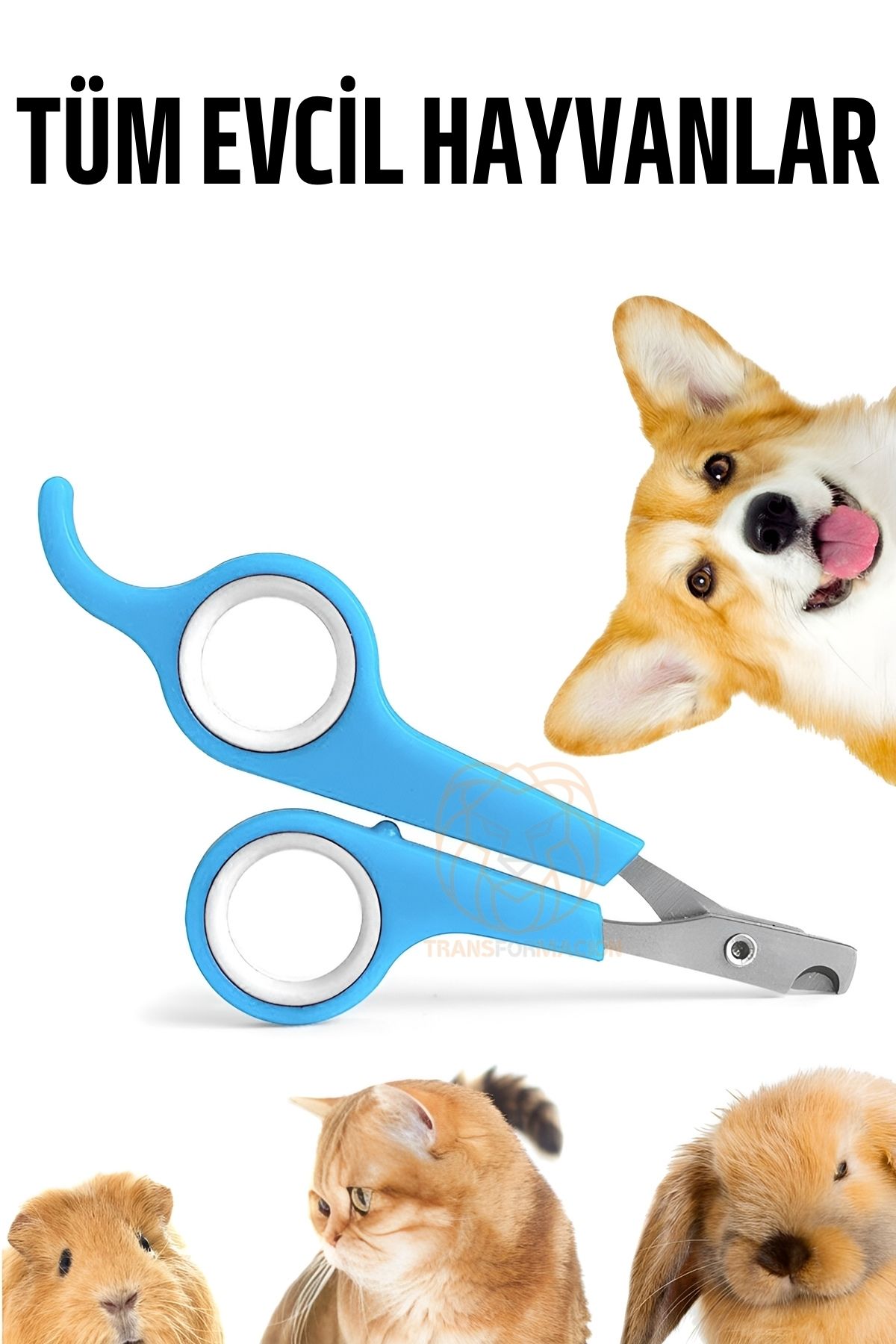 Kedi Tırnak Makası Evcil Hayvan Köpek Tavşan Tırnak Makası 721113