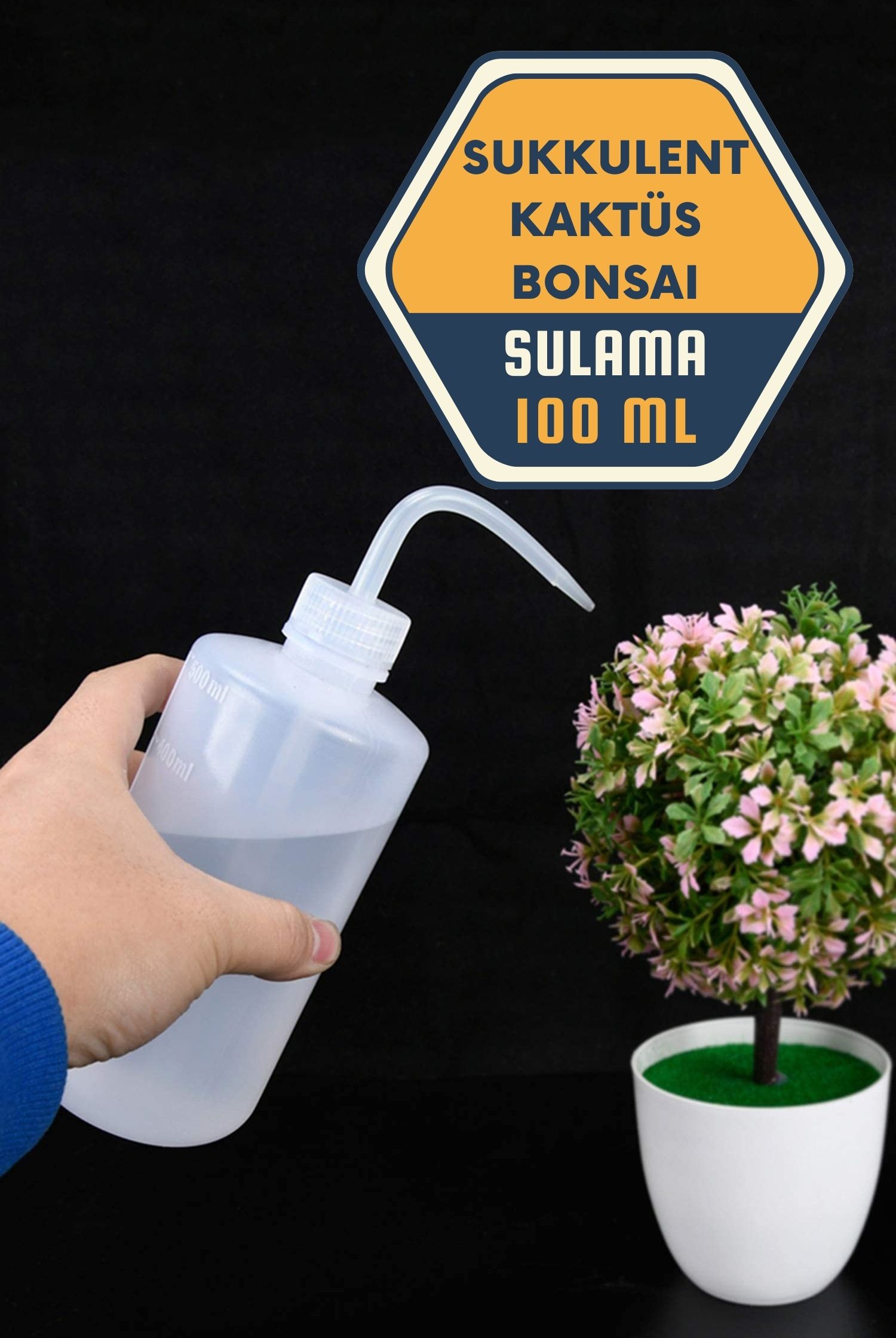 Sukkulent Kaktüs Bonsai Sulama Şişesi 715726